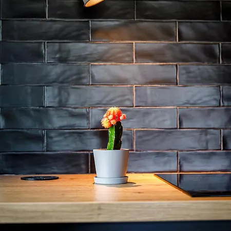 Haus Anton Exklusives Architektenhaus Fehmarn, Sauna & Strandkorb Casa vacanze *